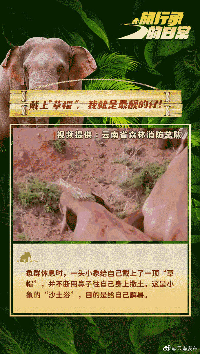 “云南发布”微博