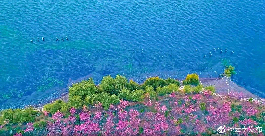 云南环境空气质量预报