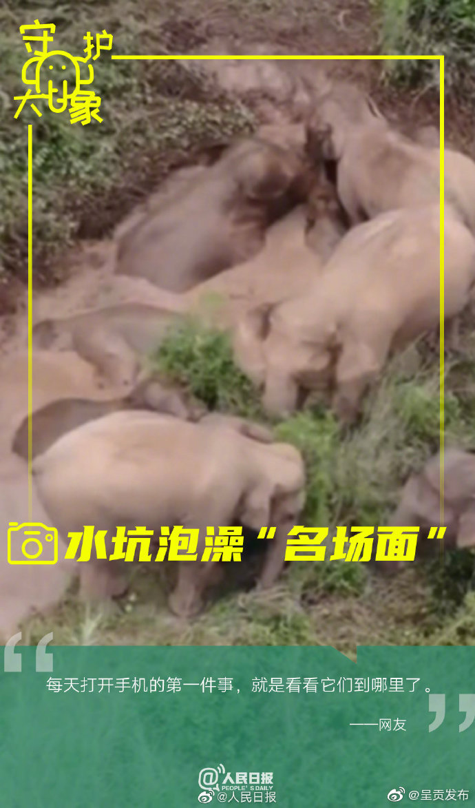 “呈贡发布”微博