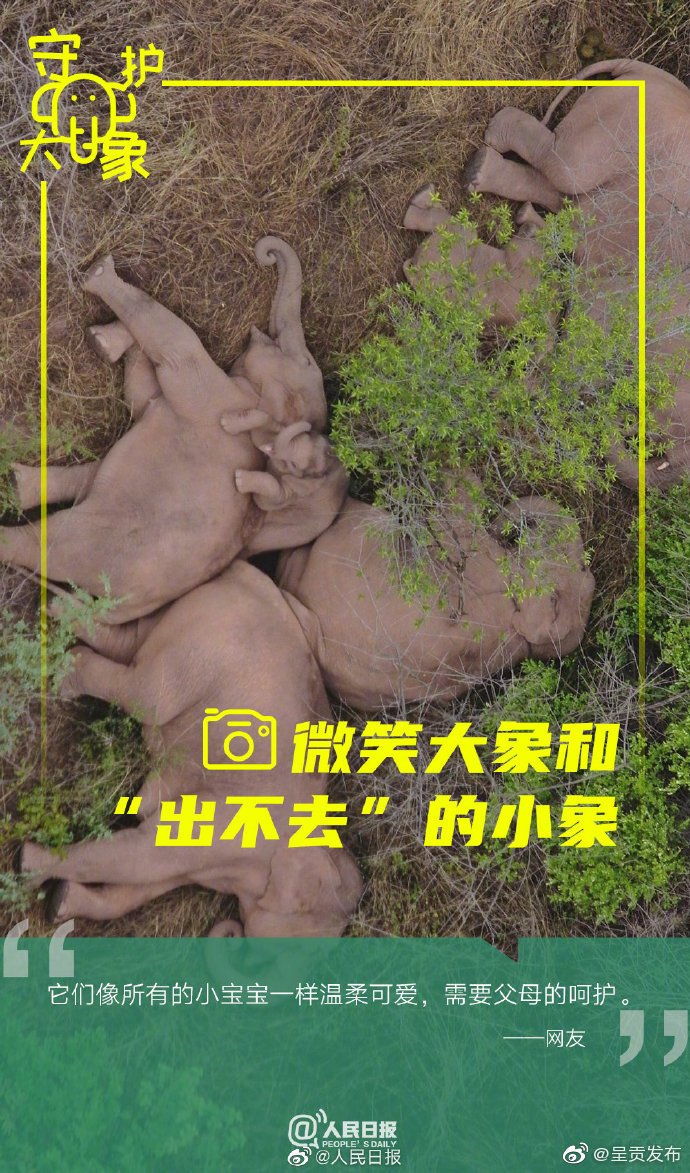 “呈贡发布”微博