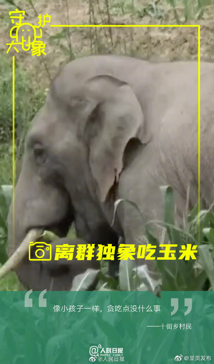 “呈贡发布”微博