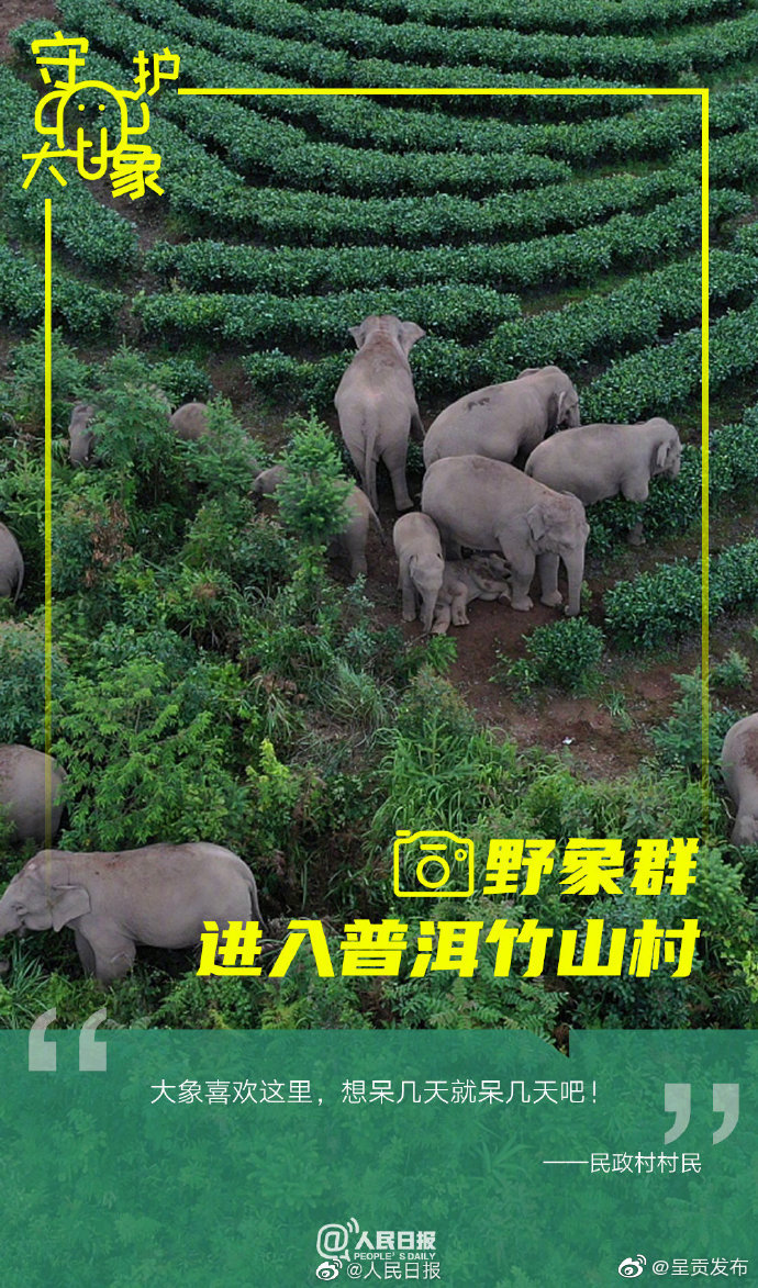 “呈贡发布”微博