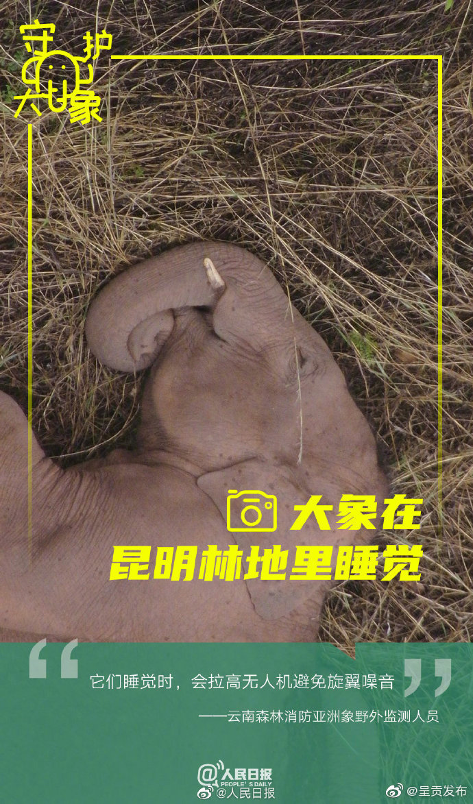 “呈贡发布”微博