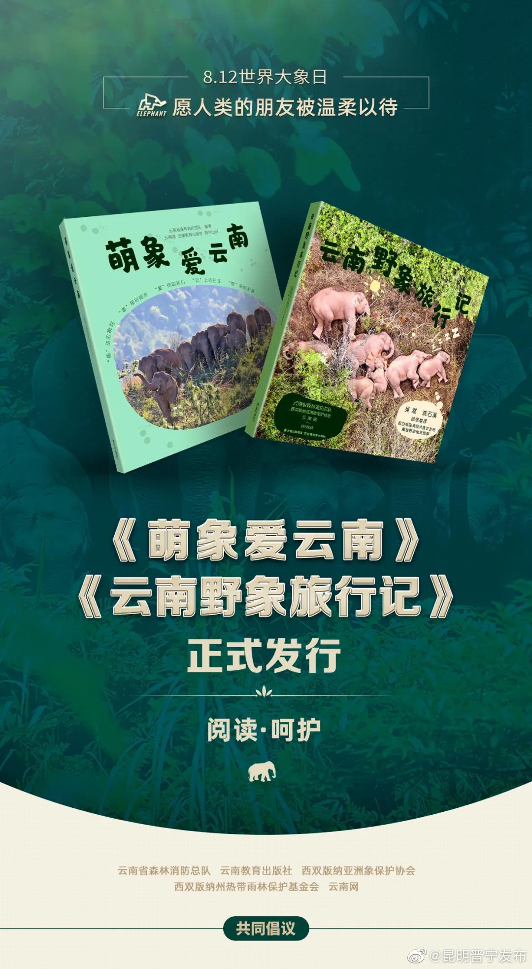 《萌象爱云南》《云南野象旅行记》今日出版发行！