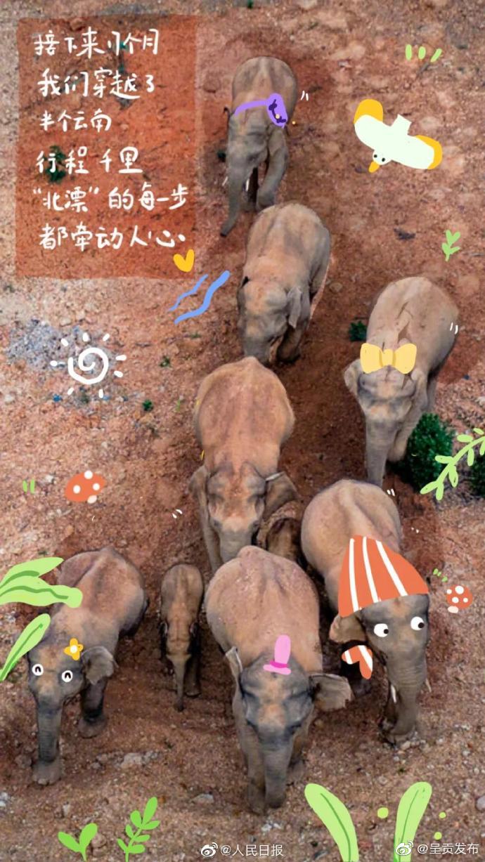 “呈贡发布”微博