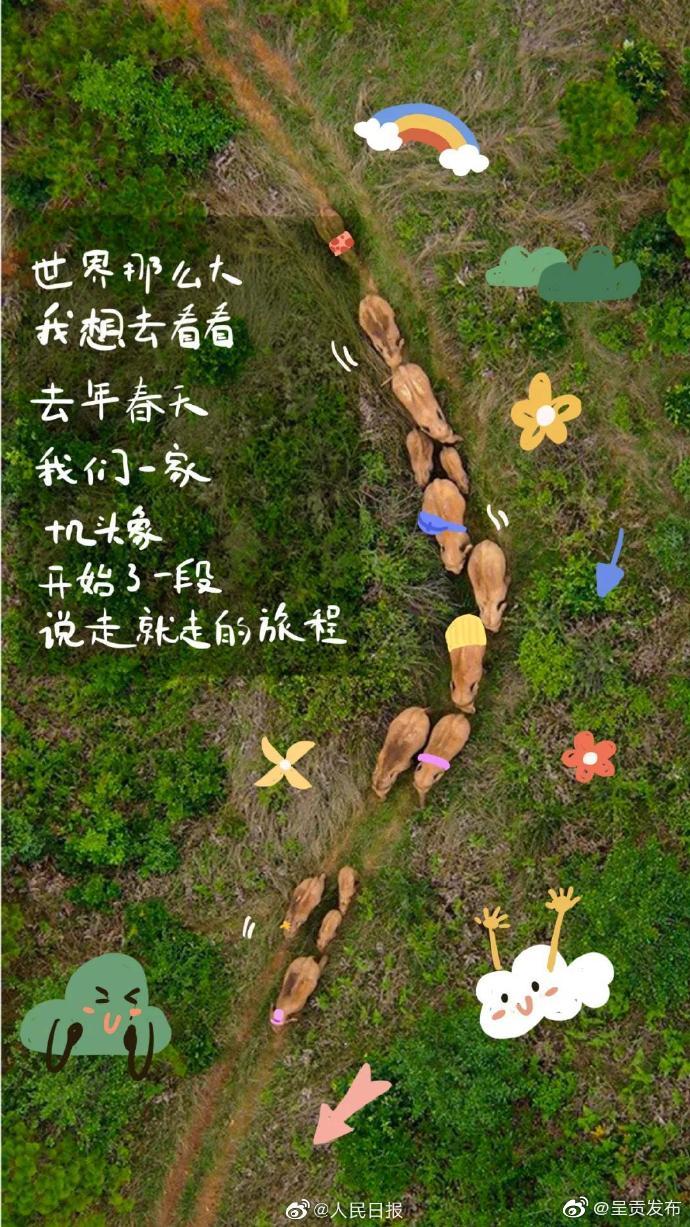 “呈贡发布”微博