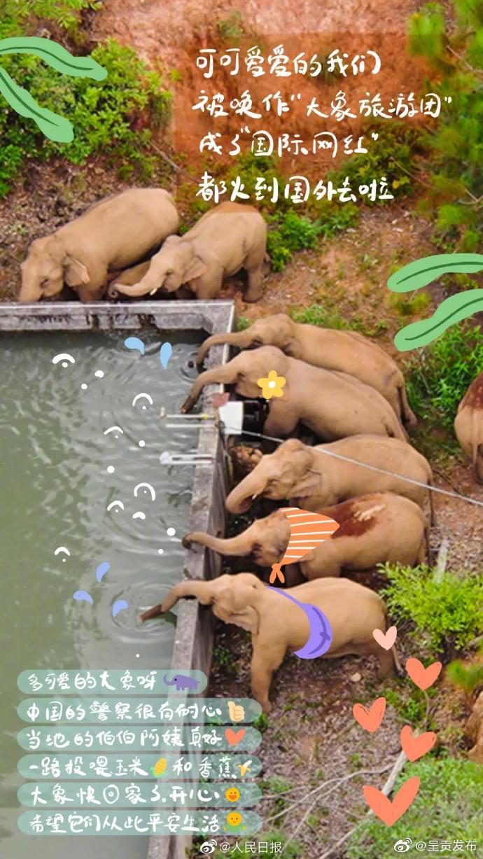 “呈贡发布”微博