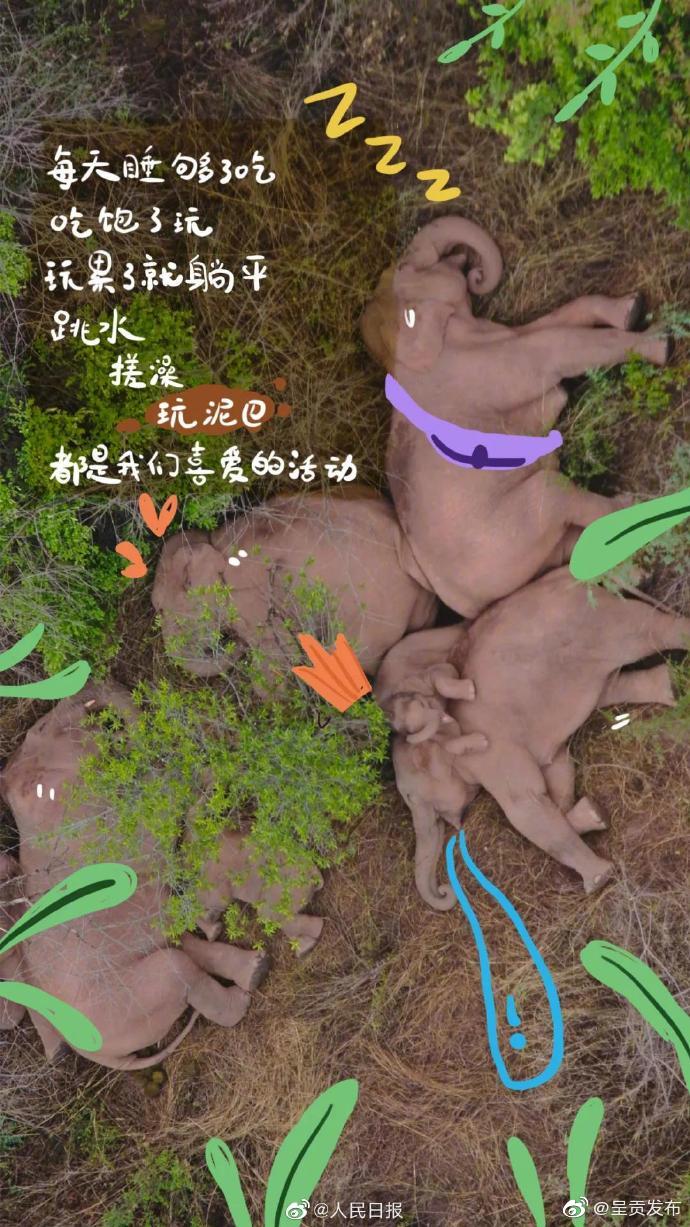 “呈贡发布”微博