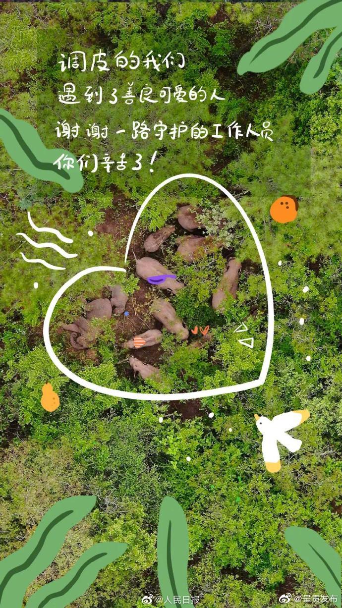 “呈贡发布”微博