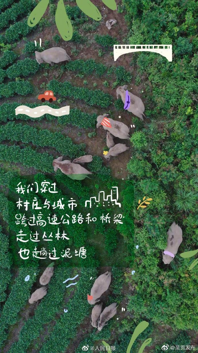 “呈贡发布”微博