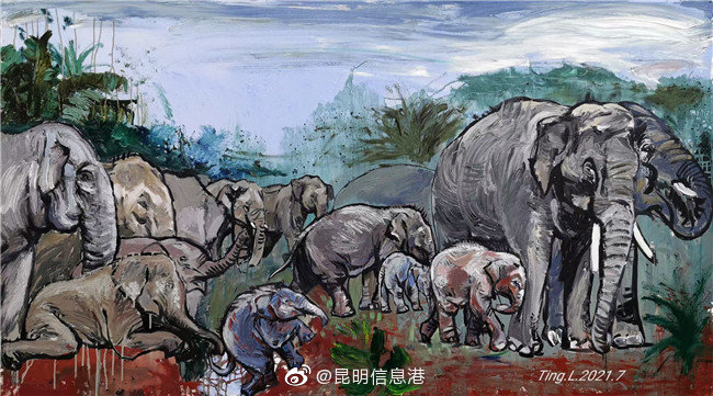 昆明信息港微博