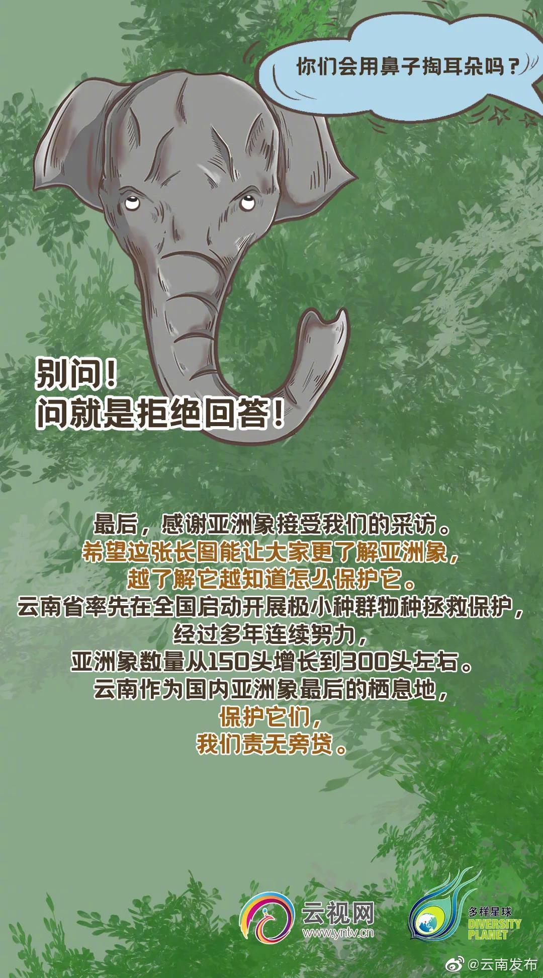 “云南发布”微博