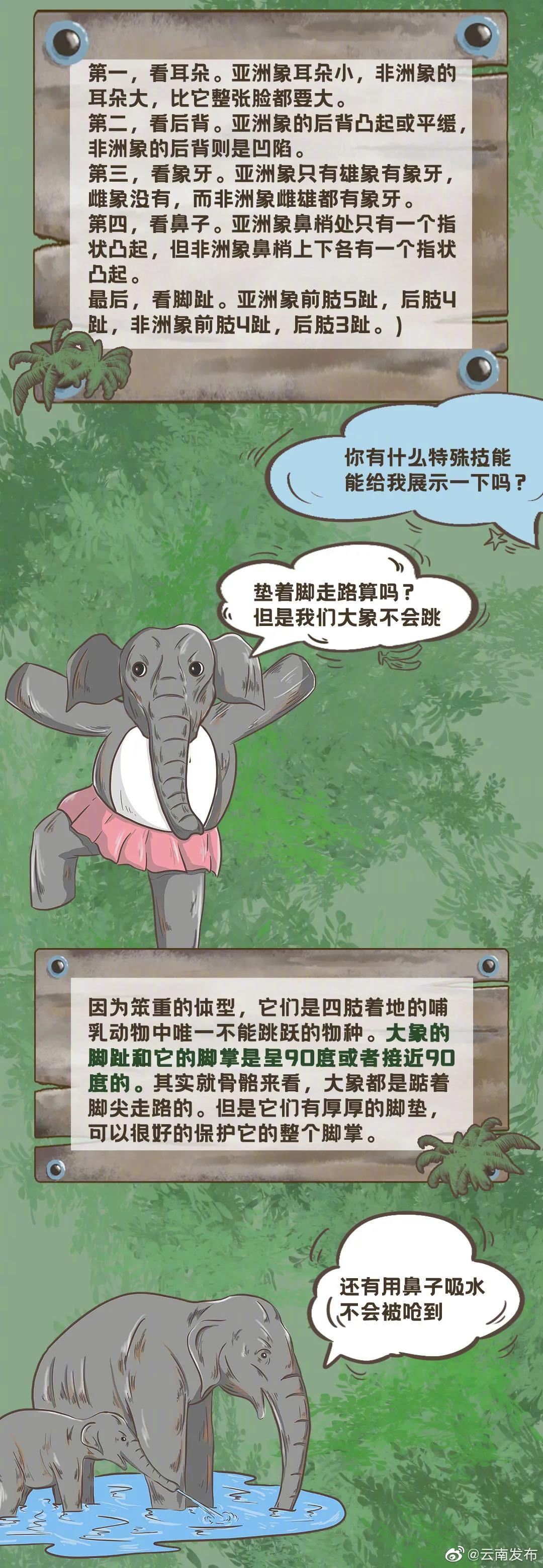 “云南发布”微博