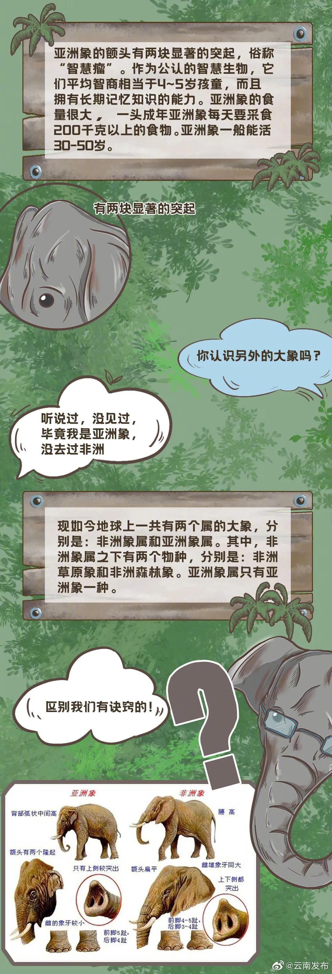 “云南发布”微博