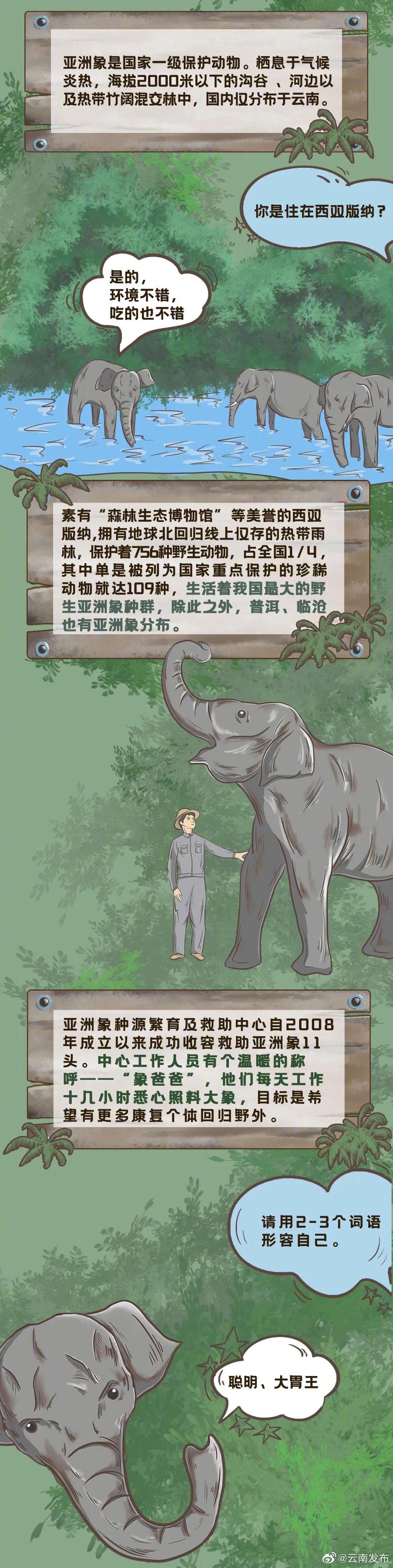 “云南发布”微博