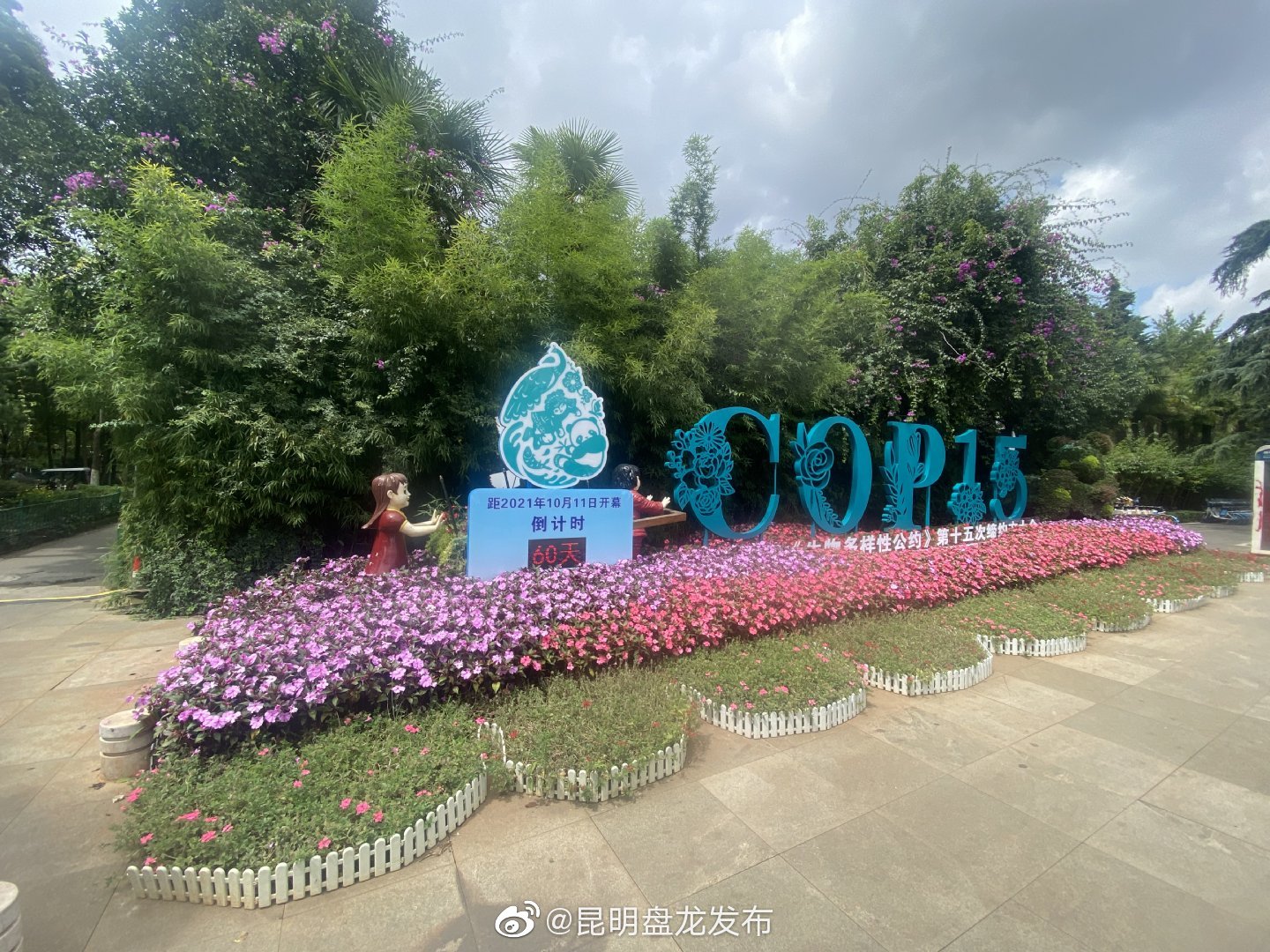 “昆明盘龙发布”微博