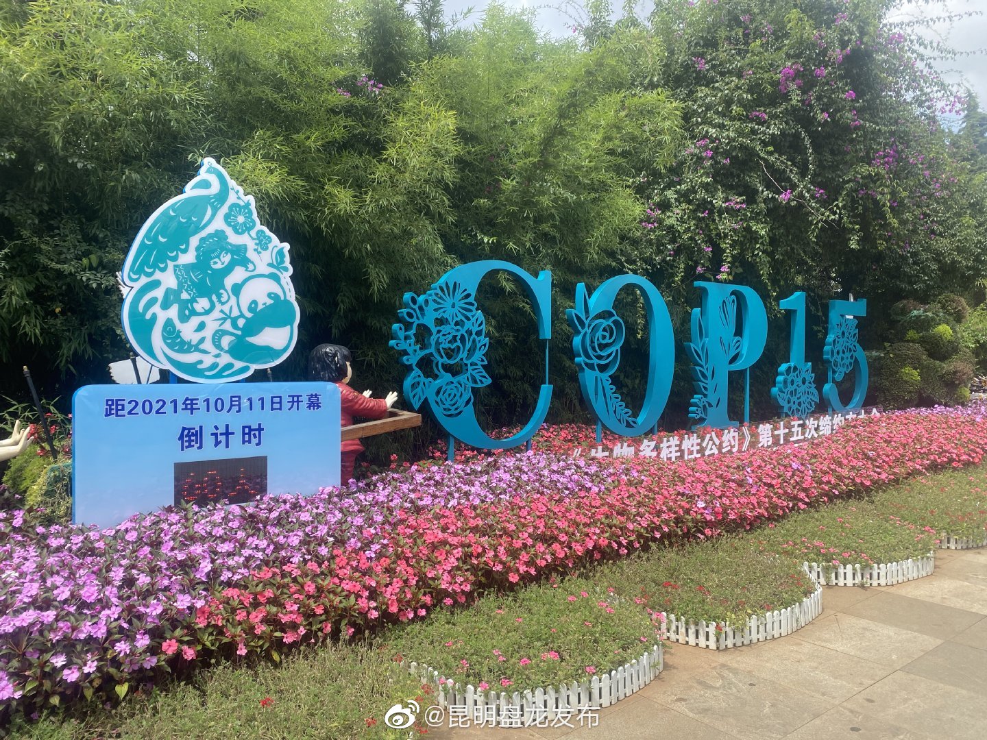 “昆明盘龙发布”微博