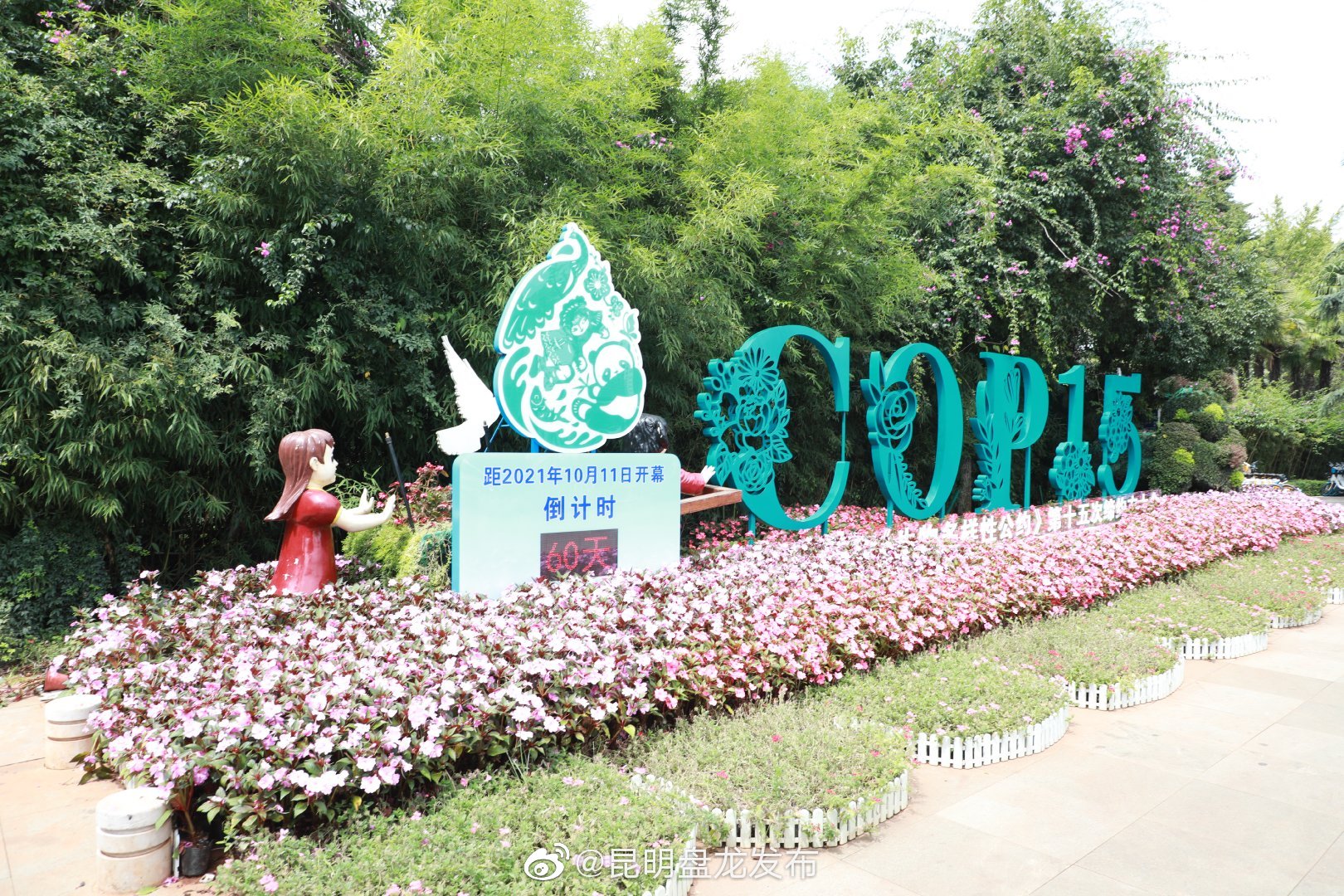 “昆明盘龙发布”微博