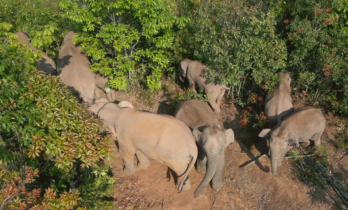 “昆明晋宁发布”微博