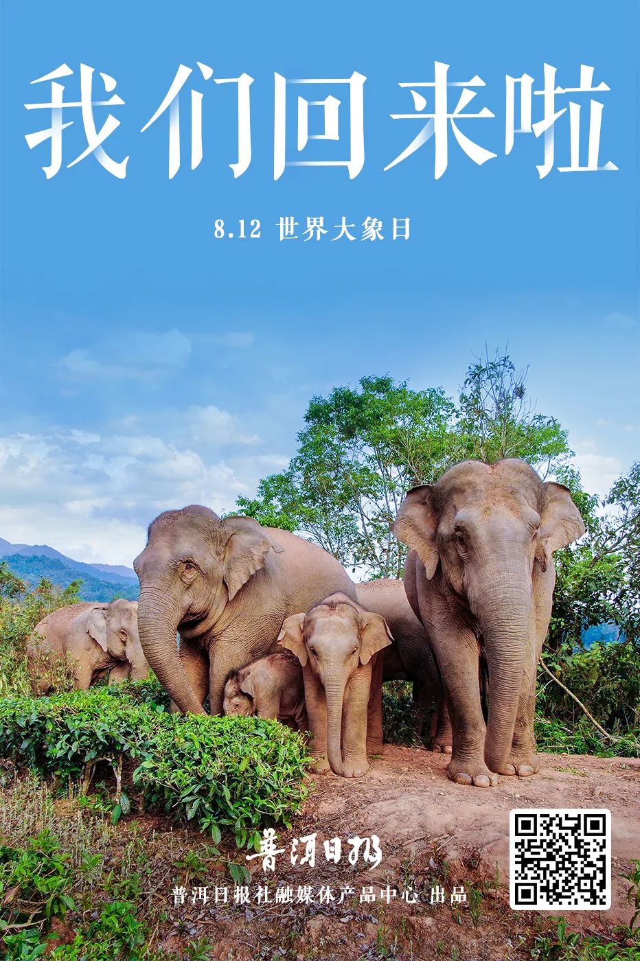 普洱日报(微信)