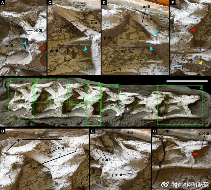 “昆明禄劝发布”微博