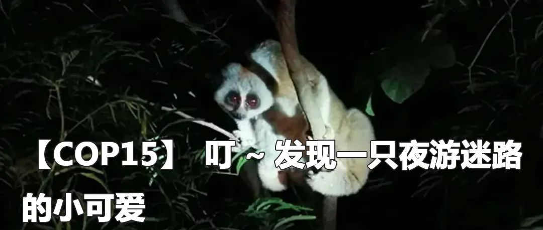 云南政法(微信)