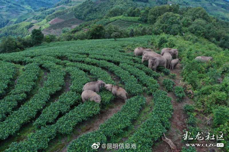 昆明信息港微博