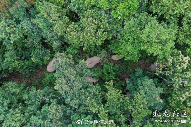 昆明信息港微博