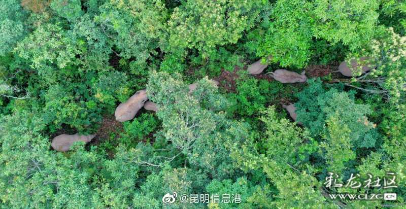 昆明信息港微博