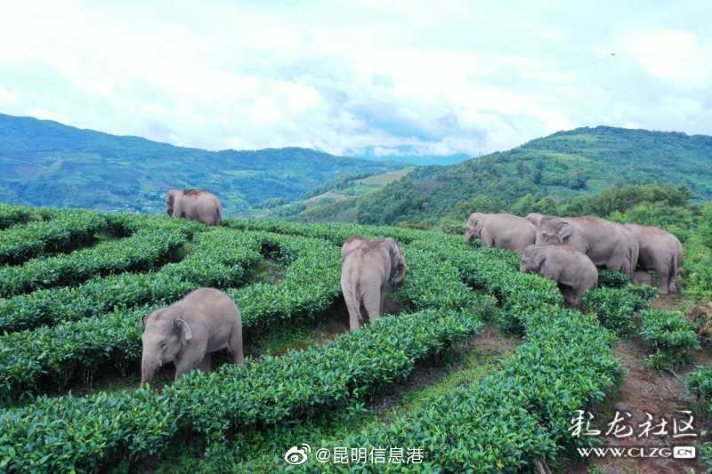 昆明信息港微博