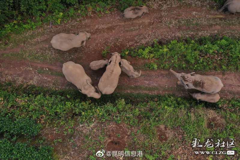 昆明信息港微博