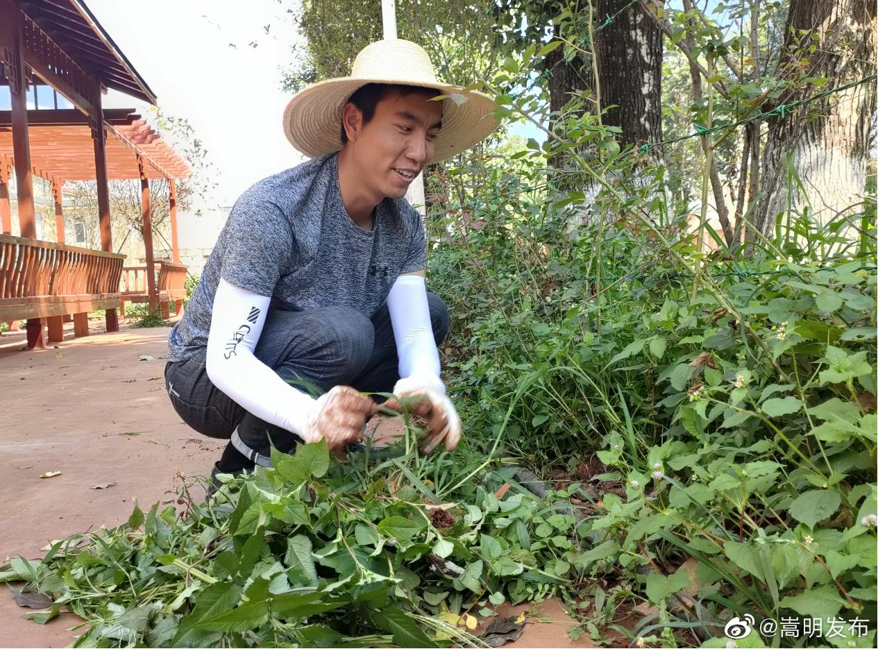 “嵩明发布”微博