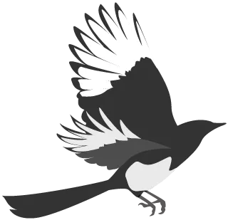 昆明市图书馆(微信)