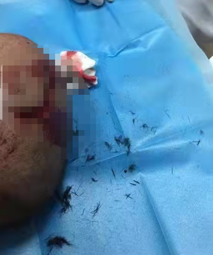 春城晚报(微信)