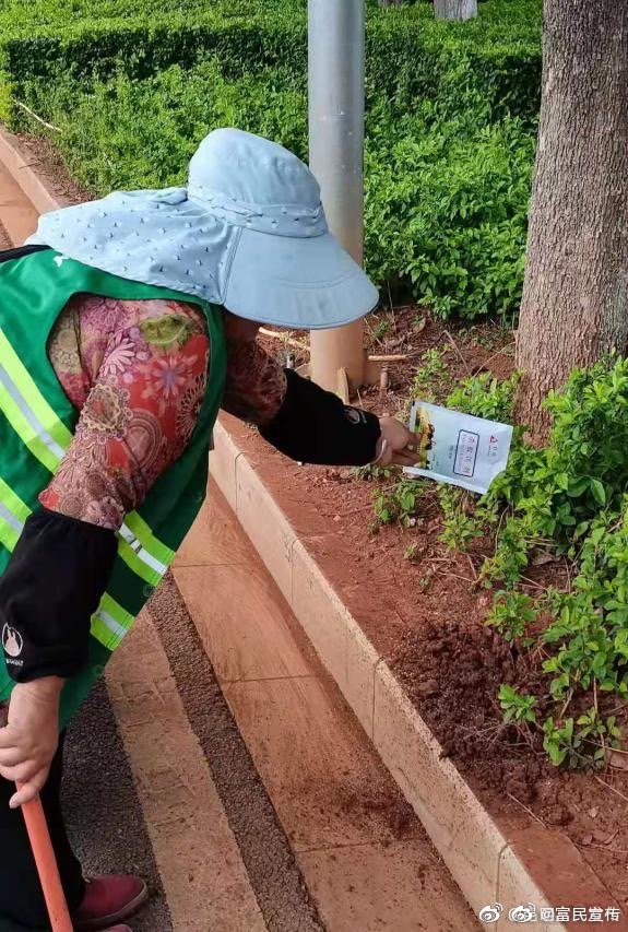 富民县开展公园绿地红火蚁防控消杀工作