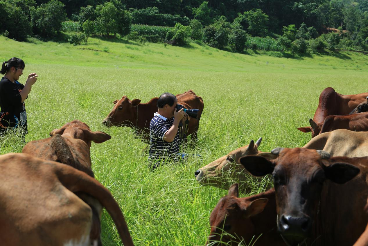云南省文化和旅游厅