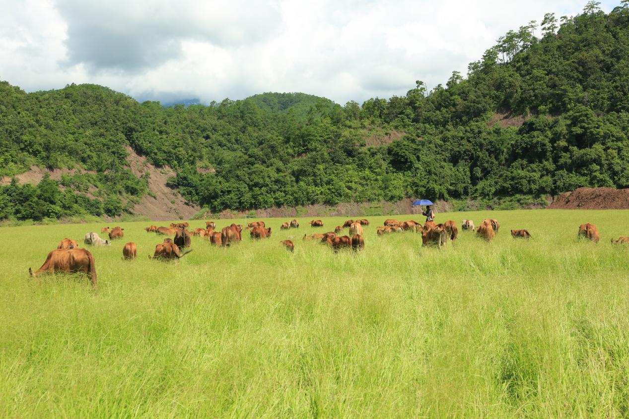 云南省文化和旅游厅