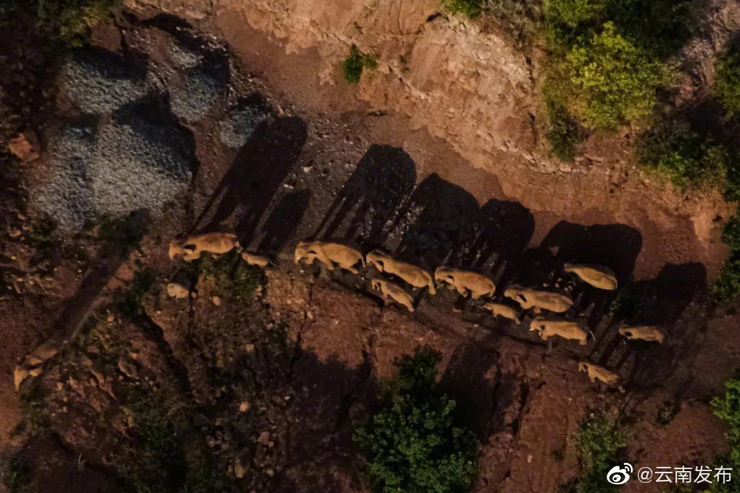 “云南发布”微博