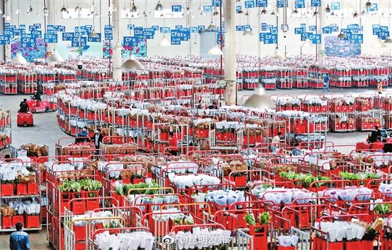 “昆明发布”微博