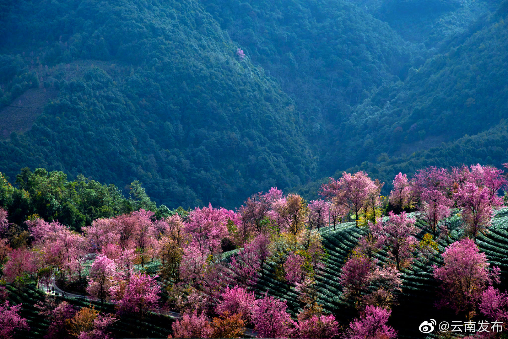 云南环境空气质量预报