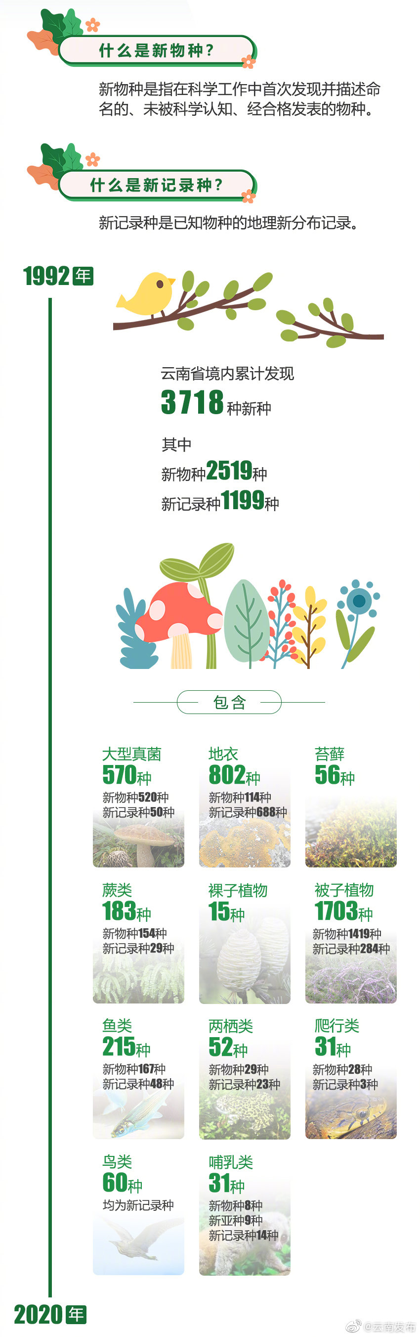 “云南发布”微博