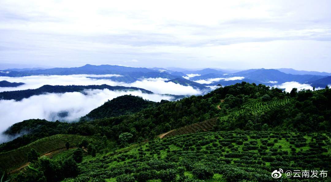 “云南发布”微博