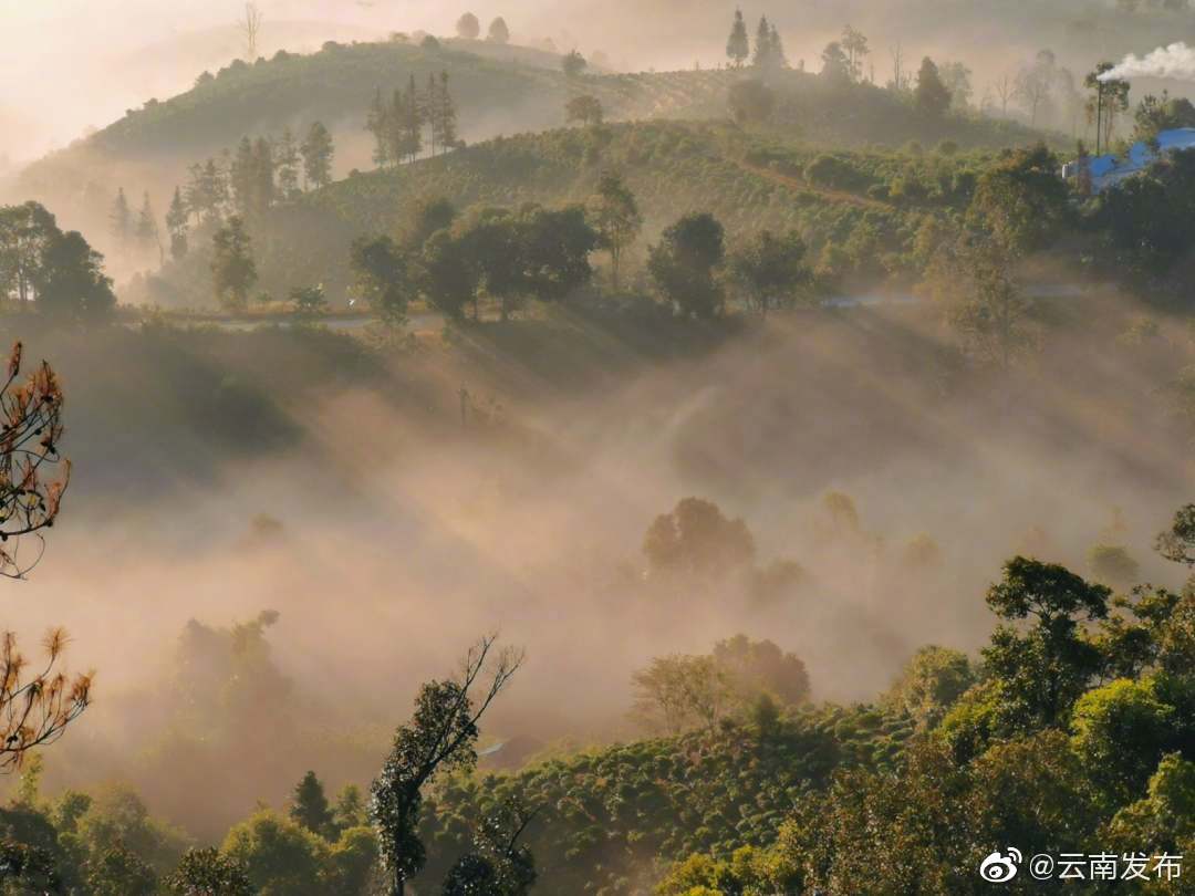 “云南发布”微博