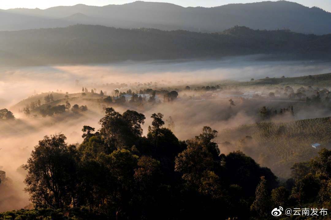 “云南发布”微博