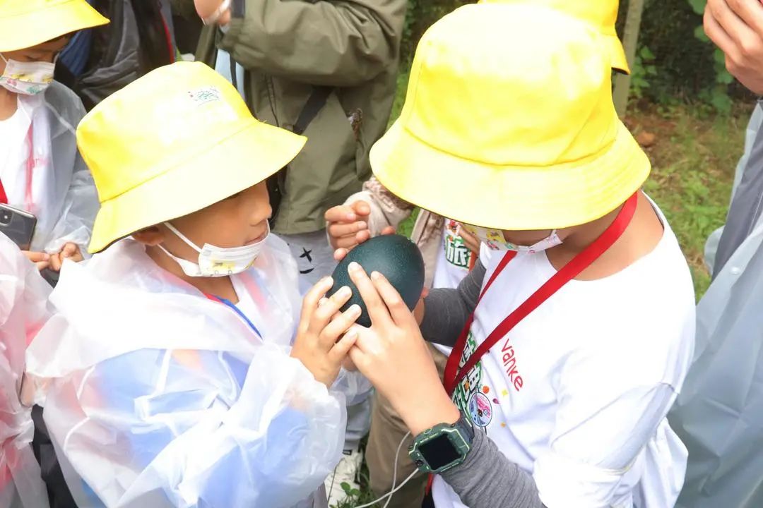 云南野生动物园(微信)