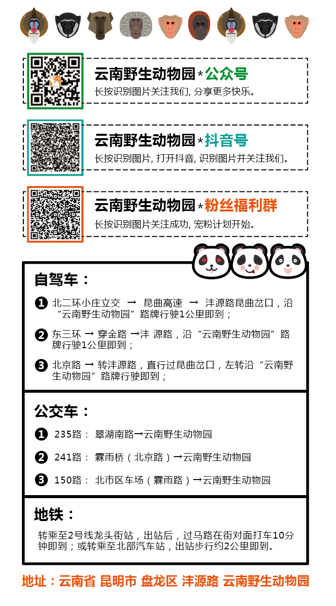 云南野生动物园(微信)