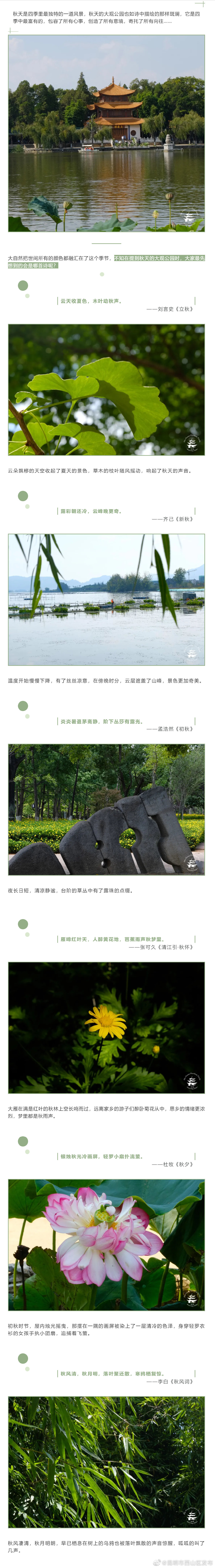 “昆明市西山区发布”微博