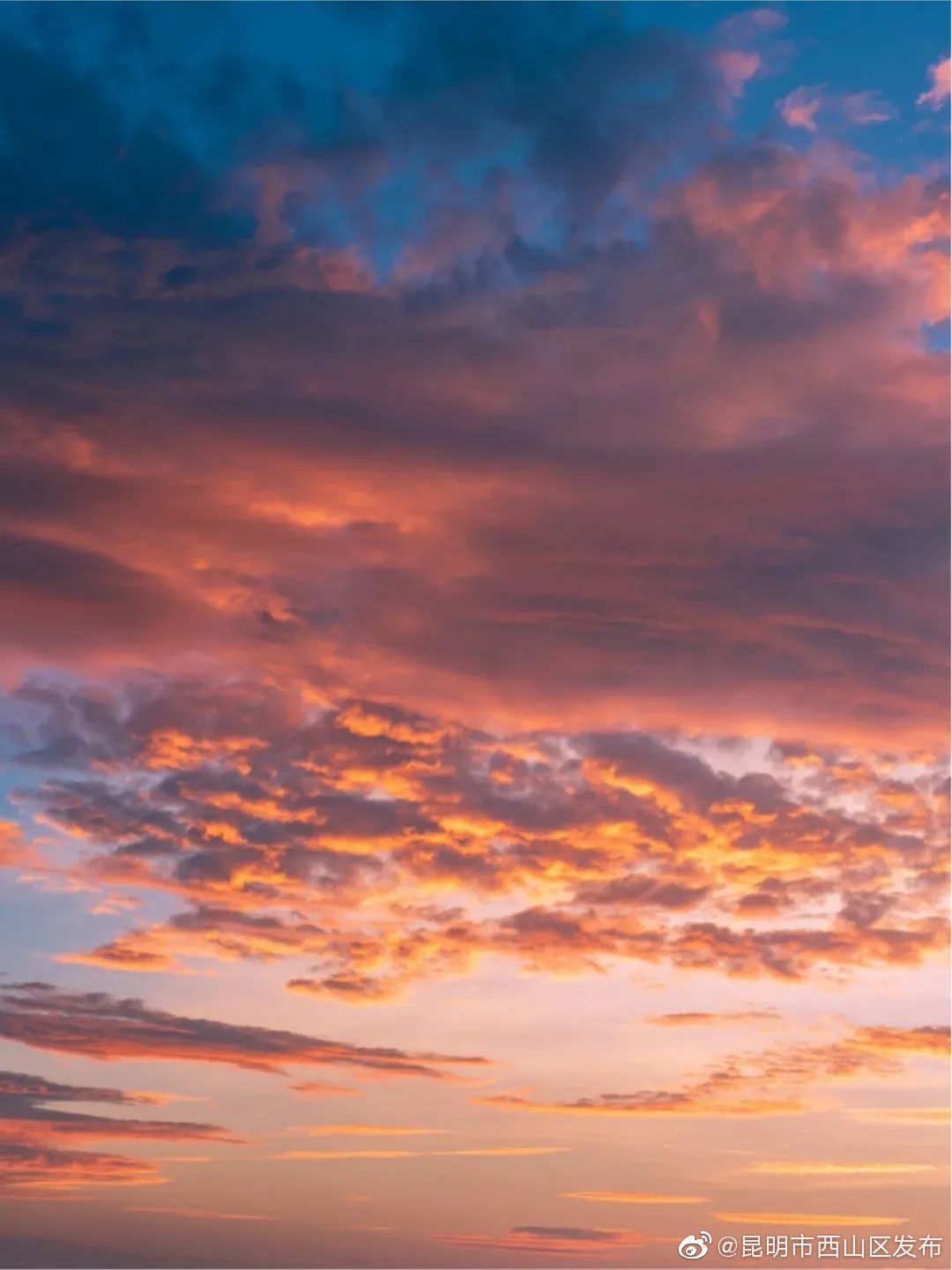 “昆明市西山区发布”微博