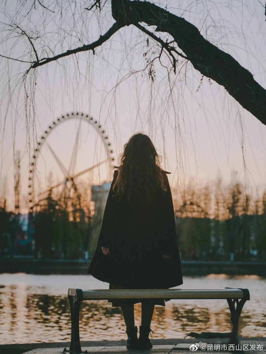 “昆明市西山区发布”微博