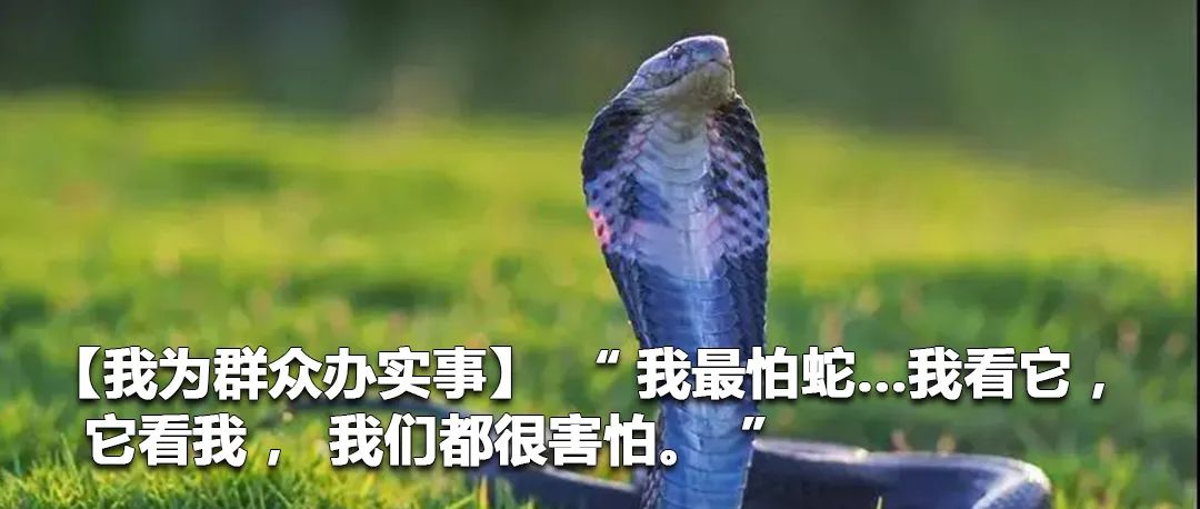 云南政法(微信)